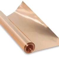 BERYLLIUM COPPER SHIM