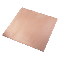 Copper Earthing Plate and Strip