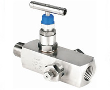 fitting-type-instrument-valve-gauge-valve